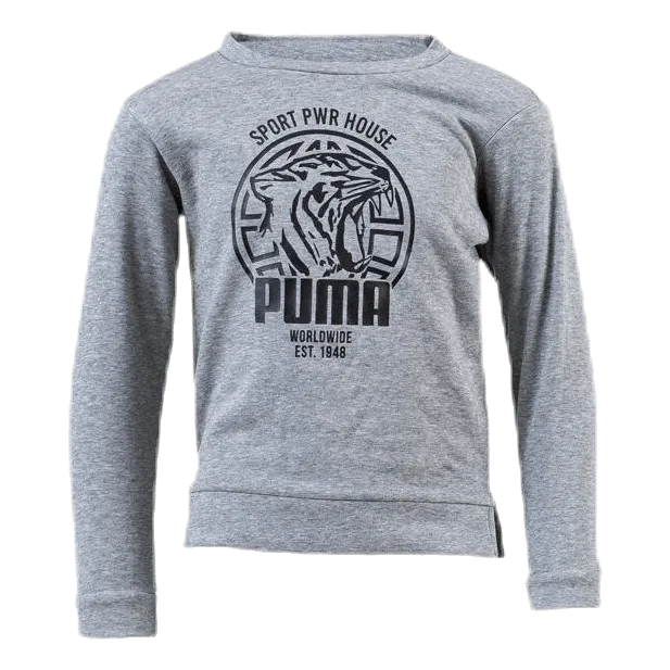 Alpha Graphic Crew Jr Grey