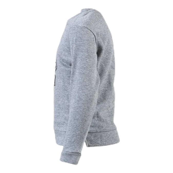 Alpha Graphic Crew Jr Grey