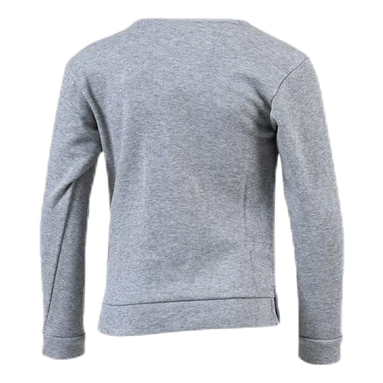 Alpha Graphic Crew Jr Grey